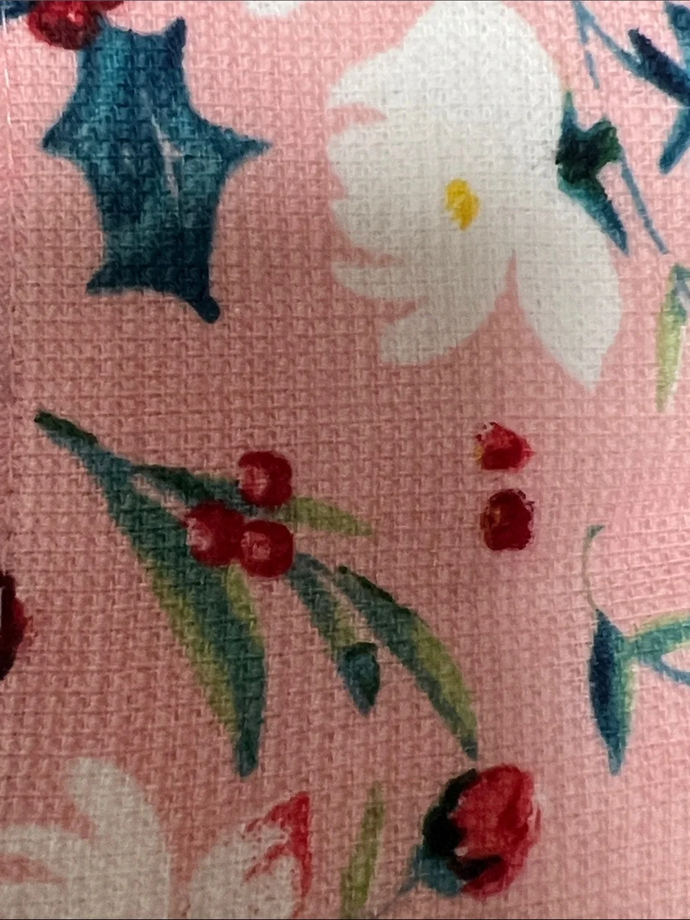 The Pioneer Woman Blue, Teal, Red Floral & Script Kitchen Towels Wishful Winter